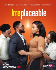 Read more about the article Irreplaceable (2024) – Nollywood Movie