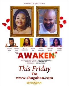 Read more about the article Awaken (2020) – Nollywood Movie