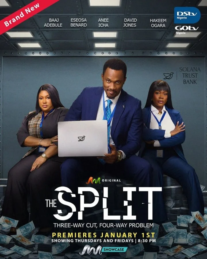 Read more about the article The Split Season 1 (Complete)